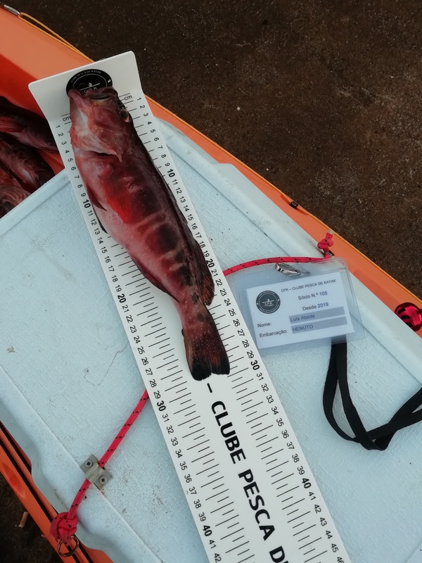 Fish Measure Picture